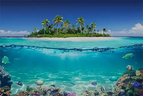 Île tropicale avec palmiers et eaux turquoises aux Caraibes