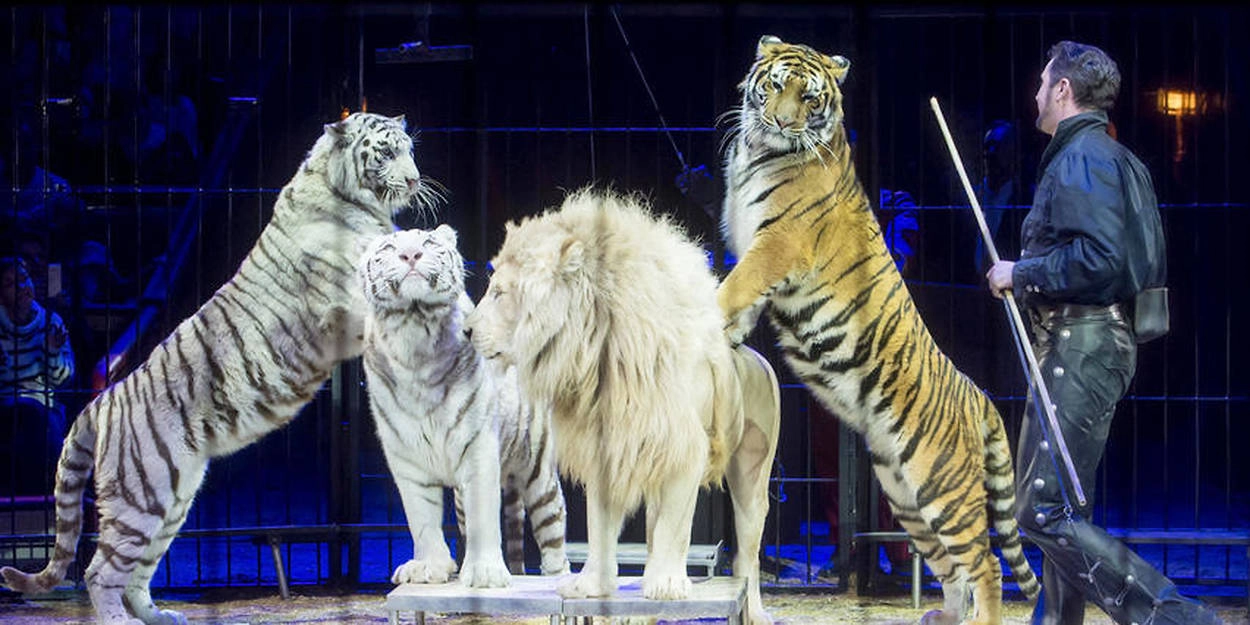 Dresseur de cirque avec des lions et des tigres sur scène