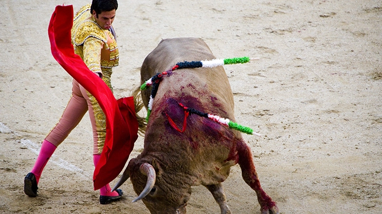 Torero en costume de lumière face à un taureau dans une arène