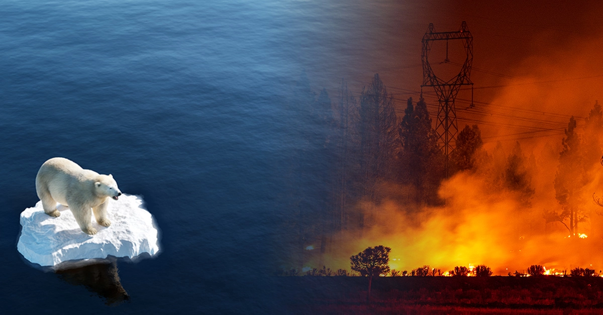 Montage illustrant le réchauffement climatique avec un ours polaire sur un iceberg et un incendie de forêt