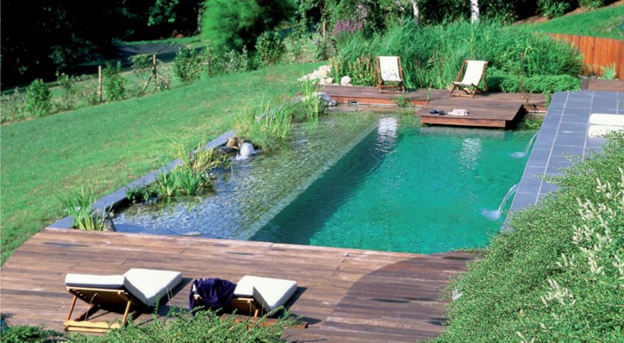 Piscine écologique entourée de végétation naturelle et de chaises longues en bois
