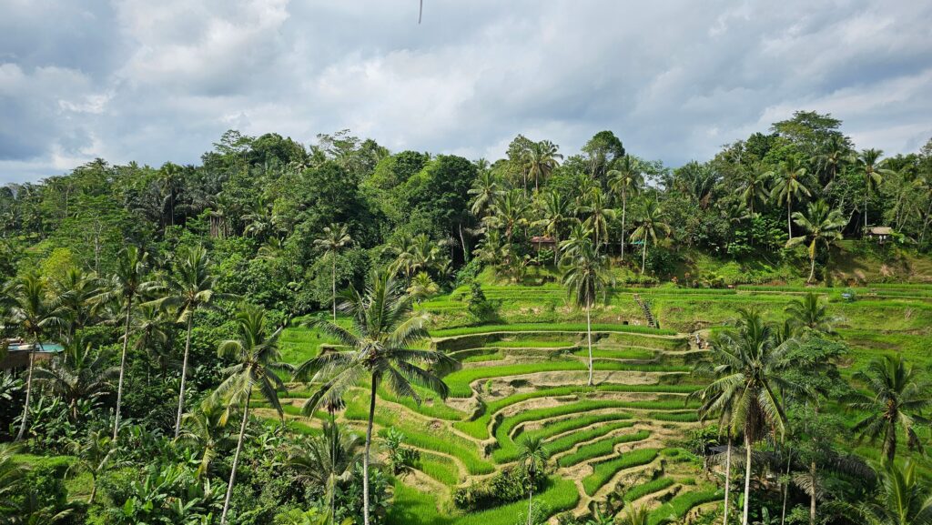 voyage à Bali